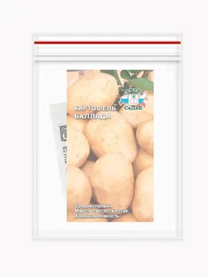 Семена Картофель \"Импала\" купить по цене 59 ₽ в интернет-магазине  KazanExpress