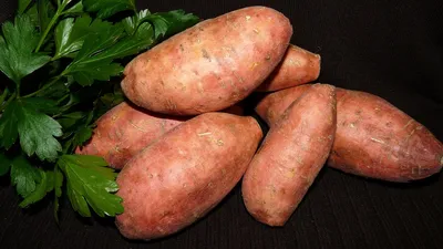 Сорта картофеля: вкусовые качества, характеристики, описания, какой лучше