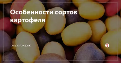 Семена огурцов Кураж F1 купить в Украине | Веснодар