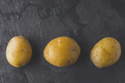 Сорт картофеля Лорх: 15+ фото, отзывы, описание, сравнение