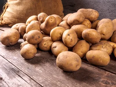 ТОП-10: лучшие сорта картофеля – описание и фото | Чудогрядка.рф | Дзен