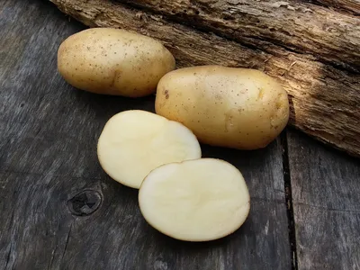 Как выбрать вкусный и полезный картофель? - Delfi RU