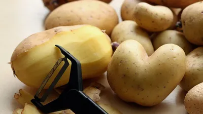 Картофель лорх - 70 фото
