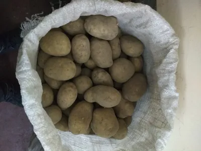 На рынке продается красный и желтый мелкий картофель Стоковое Изображение -  изображение насчитывающей различно, картошки: 162526421