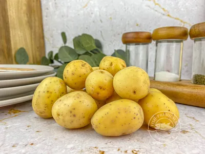 Картофель мелкий кг | Корнеплоды | Arbuz.kz