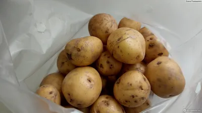 Продам картофель мелкий купить на Зозу.ру