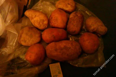 Картофель семенной Колобок 2 кг. (суперэлита) – купить за 540 ₽ | Сияние