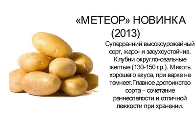 Купить Семенной картофель класса элита Фаворит 2 кг (+-5%) за 200 руб.  почтой | «Сад-Эксперт» – Семенной картофель