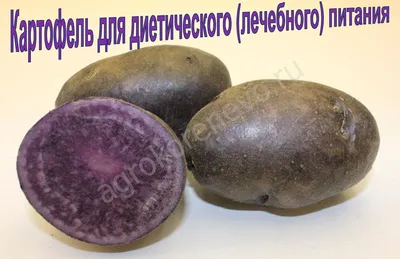 Купить Семенной картофель Беллароза с доставкой по Москве и всей России,  низкая цена от 820 руб. при заказе в питомнике \"Агрономов.РУ\"