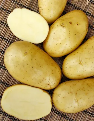 В Подмосковье в 2021 году увеличили объемы сбора картофеля - В регионе -  РИАМО в Щелкове