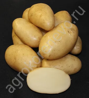Картофель Невский Элита 1 кг (желтая лента)