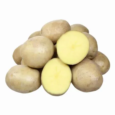 Картофель с жёлтой и белой мякотью - Сорт картофеля Невский