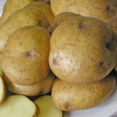 Картофель семенной \"Удача\" - «Вы думаете, что вся картошка одинакова на  вкус? » | отзывы