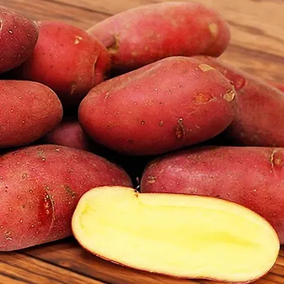 Картофель палац фото фото