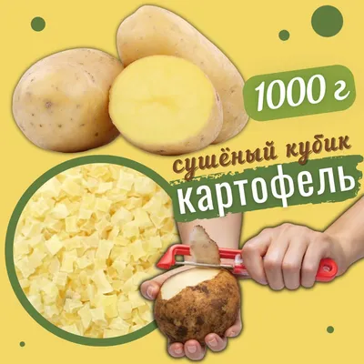 Дегустация картофеля | РУП Витебский зональный институт сельского хозяйства  НАН Беларуси