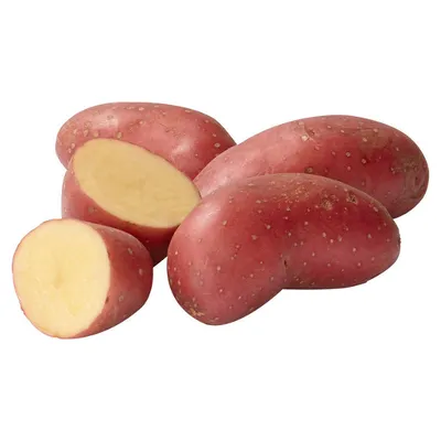 Картофель семенной Ред Скарлетт СЭ 28/55 (уп-2кг) — купить в  интернет-магазине по низкой цене на Яндекс Маркете