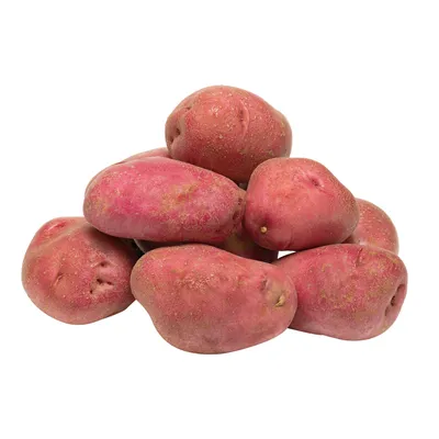 Лучшие сорта картофеля для выращивания на Северном Урале | ДАЧА \"СЕВЕРНЫЙ  УРАЛ\" | Дзен
