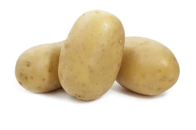 Фотография объявления Продается картофель элитного сорта Сантэ в Караколе в  Караколе №179976 на Автобазе
