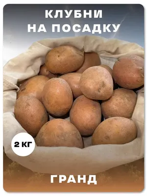 Россельхознадзор советует, как выбрать сорт картофеля