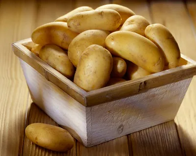 Как выбрать на рынке и в магазине самый вкусный картофель и приготовить его