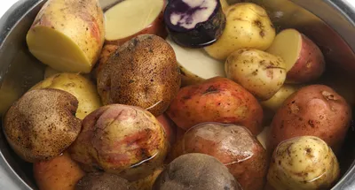 Когда сажать картофель: календарь посадки разных сортов на 2023 год: Дом:  Среда обитания: Lenta.ru