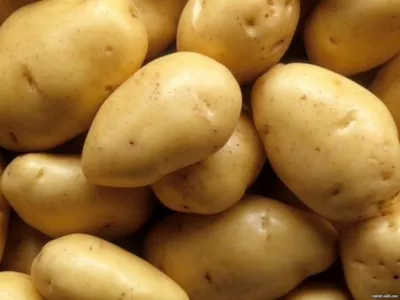 В магазинах на полках лежит столько видов картофеля, что так просто и не  разобраться! Одни сорта лучше подходят для варки,.. | ВКонтакте