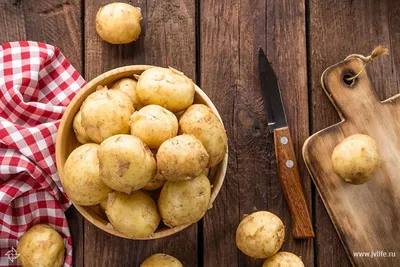 В Кантемировке собирают небывалый урожай картофеля