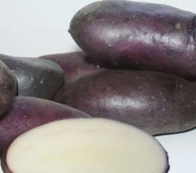 Картофель семенной сорт Сарпо Мира (Sarpo Mira Potatos) (0,5 кг) | Дачная  Коллекция