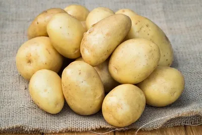 Картофель семенной Уладар 5кг купить