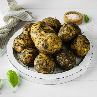 Крупный картофель со своего огорода :: Бобруйск - продукты питания (кроме  детского питания)