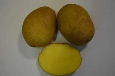 Семена картофеля Ривьера 1 кг купить в Могилеве