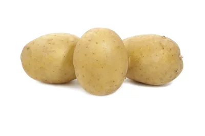Хотим вырастить хороший урожай, чтобы клубни были не мелкими». Где можно  приобрести элитные семена картофеля?