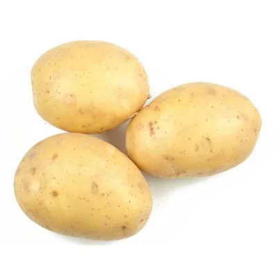 ГлавАгроном - Беларусь ставит очередной рекорд по урожаю картофеля и  презентует новые сорта