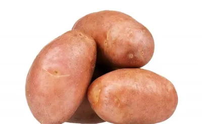 Как остановить прорастание картофеля: лайфхаки и народные средства