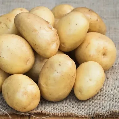 выращивание картофеля уладар | Идеи для блюд, Картофель, Чипсы
