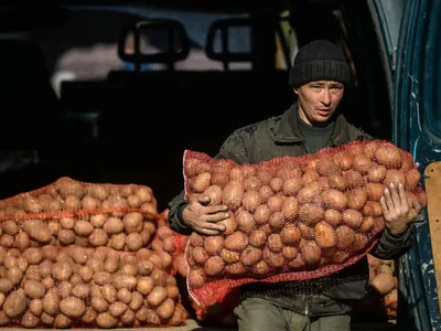 Сколько в мешке кг картошки (килограмм картофеля) - Food-Wiki.ru