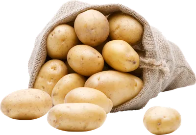 Картофель Салблю (Solanum tuberosum Salblue) - «Вырастить ФИОЛЕТОВЫЙ  картофель Салблю в мешках это просто. Красивая, фиолетовая кожура и  фиолетовая мякоть это не только очень красиво, но и восхитительно вкусно. »  | отзывы