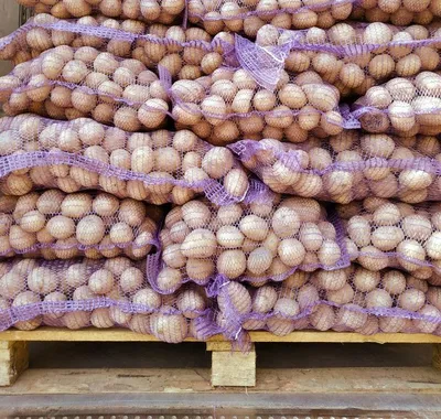 Картофель Тамбов фермерский 1 мешок 40 кг - купить в Москве с доставкой на  дом и в офис