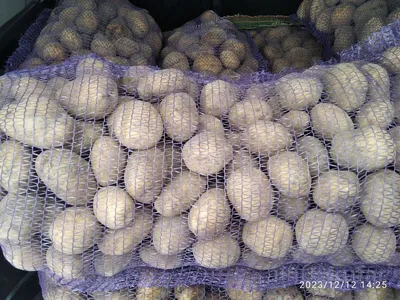 В России могут запретить продавать картофель, другие овощи и фрукты в сетках  - Ведомости
