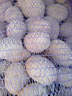 Картошка розовая, и белая. Картофель очень вкусный, без отхода!  Разваристая. Кг 28.5₽ в сетке розовый картофель 45 кг ( сетка 1300₽) белая…  | Instagram