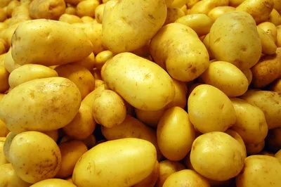 Картофель в сетке 5 кг – выгодная цена – купить товар Картофель в сетке 5  кг в интернет-магазине Комус
