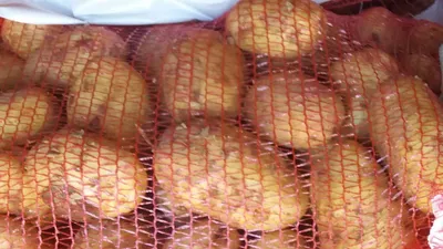 Картофель 2кг сетка Россия, цена – купить с доставкой в официальном  интернет-магазине Мираторг