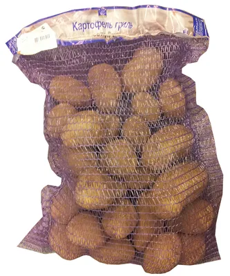 В Новгородской области собрали уже 400 тонн картофеля | Новгородские  Ведомости