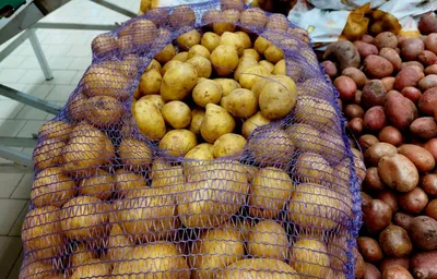 Купить картошка в сетках Владикавказ оптом и в розницу по низкой цене