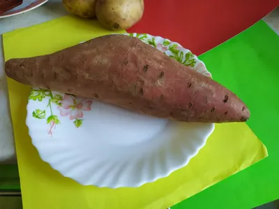 Картошка батат фото фото