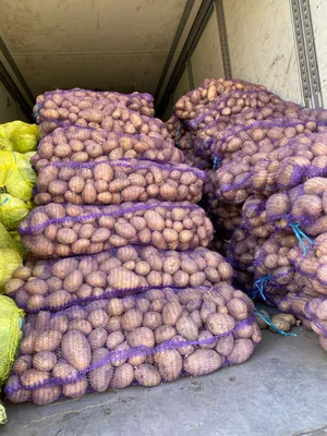 Злая картошка фри рубит дрова …» — создано в Шедевруме