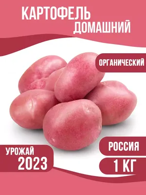 Шашлык, с печеной на костре картошкой - рецепт автора Ирина Панкина  (Solomeya)