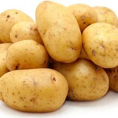Картофель «Гала» крупный в сетке 25 кг купить по цене производителя