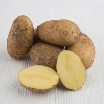 Семенной картофель Гала (3-я репродукция) купить в ярославле