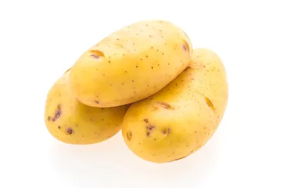 Семенной картофель \"Гала\" - ранний, высокоурожайный сорт столового  назначения. Период созревания от посадки до сбора урожая 70-80 дней.… |  Instagram